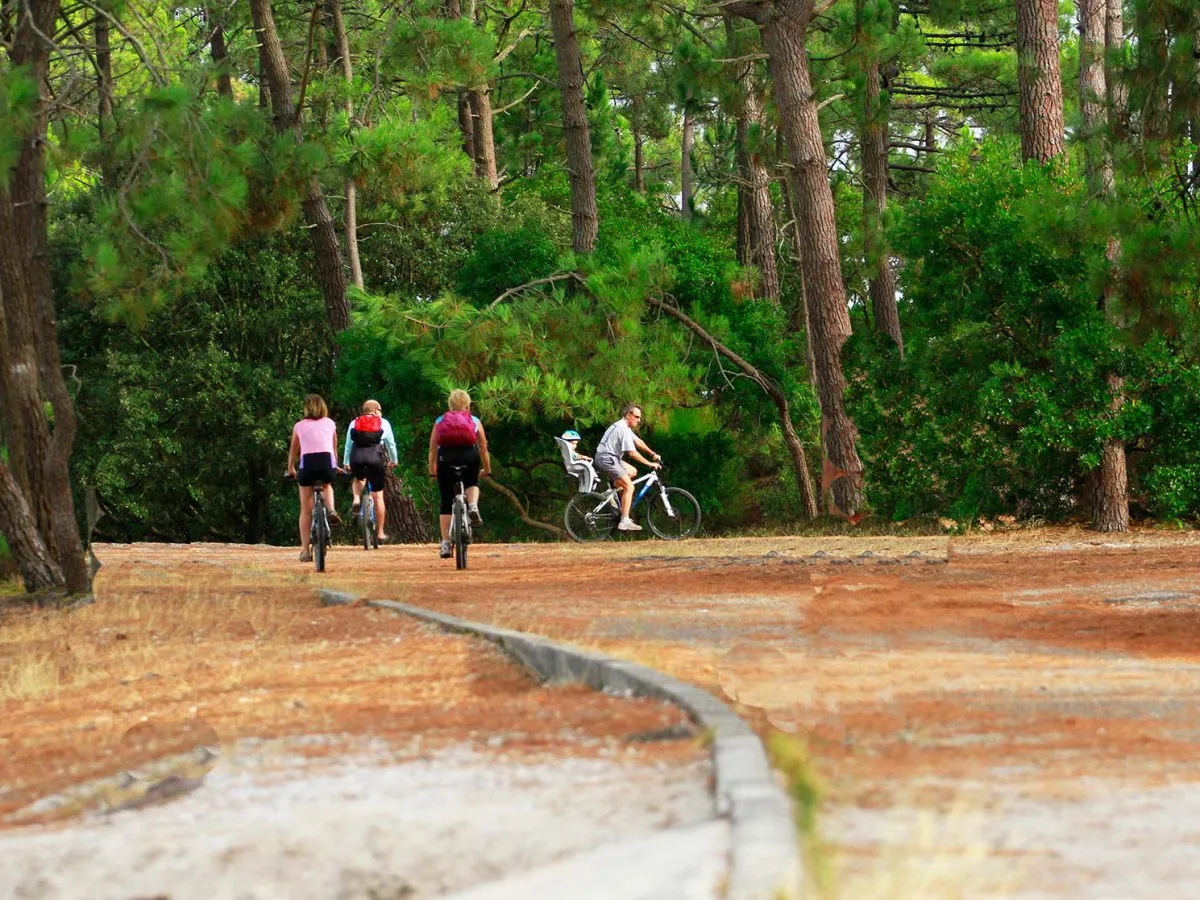 Biking and Hiking 